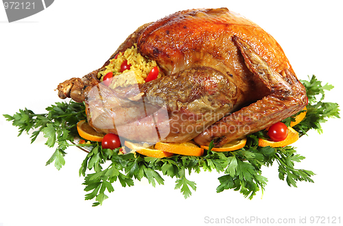 Image of Roast turkey on herb bed