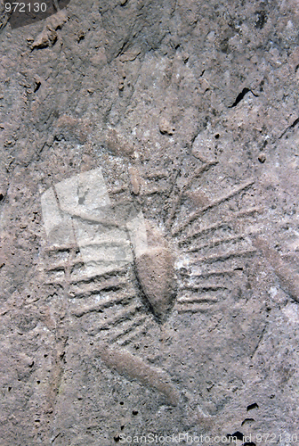 Image of Ancient rock carving in Qatar