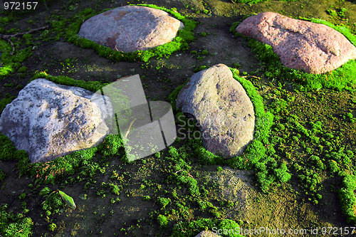 Image of Moss and stones