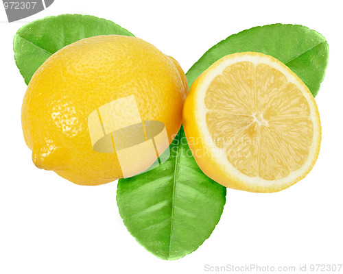 Image of Yellow lemon with green leaf