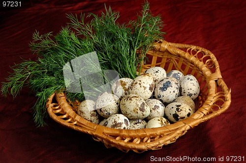 Image of Quail eggs 1