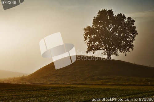 Image of nebel