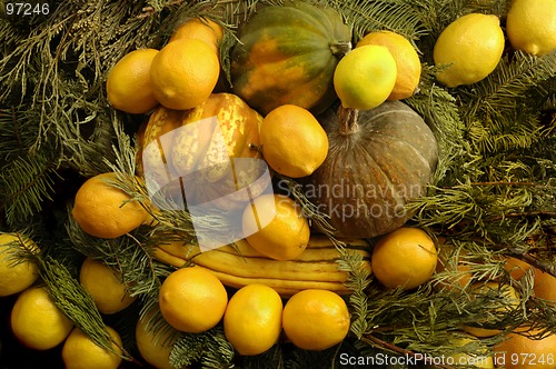 Image of Squash & Fruit Bowl