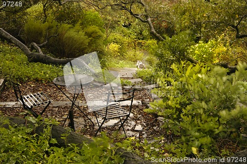 Image of Rainy Chairs