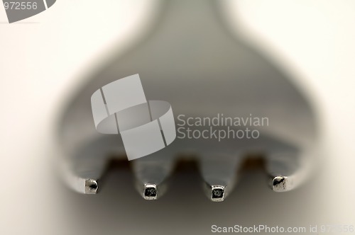 Image of fork detail