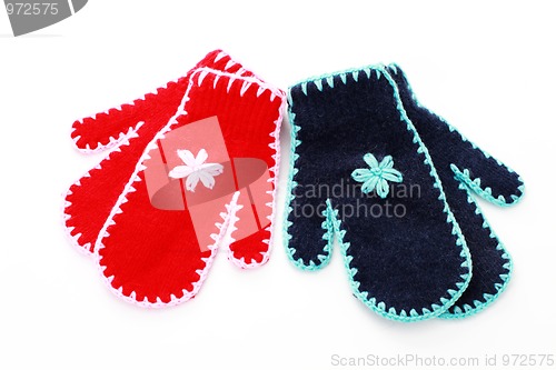 Image of red and blue gloves