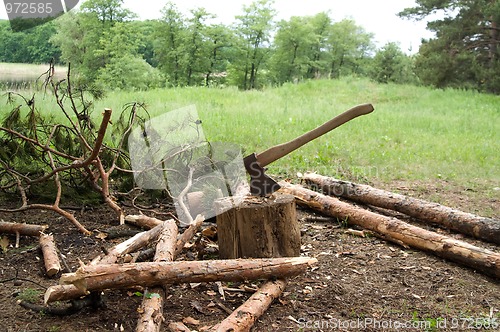 Image of Ax and stump