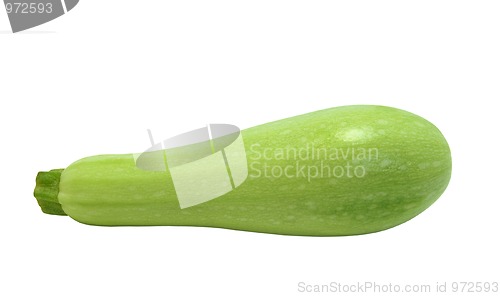 Image of Vegetable marrow