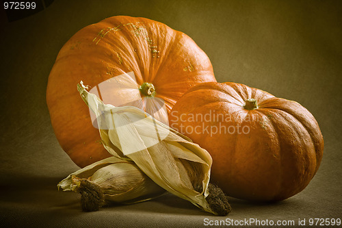 Image of Pumpkins and corn.