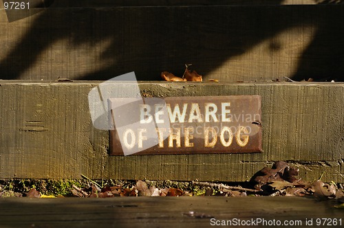 Image of Beware of Dog