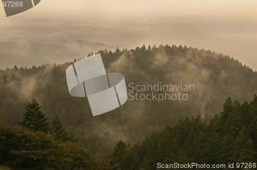 Image of Mountain Mist