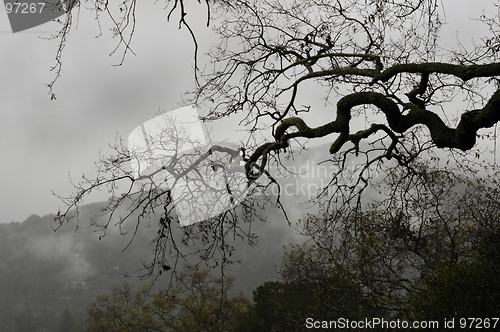 Image of Misty Mountain Weather