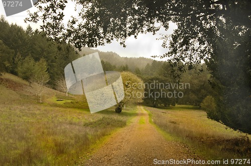 Image of Oak Tree Road