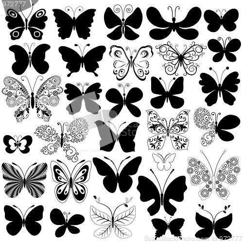 Image of Big collection black butterflies
