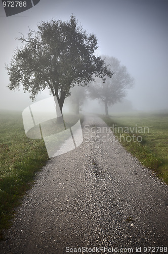 Image of nebel