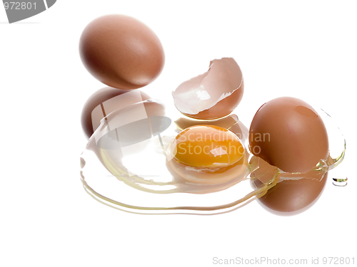 Image of Fried Egg