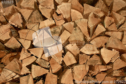 Image of Firewood made in bunch
