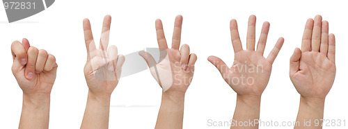 Image of Isolated hands