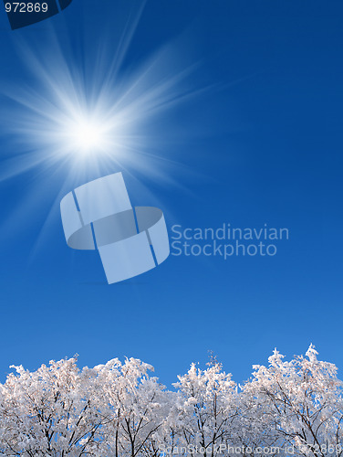 Image of background with winter woods under sky