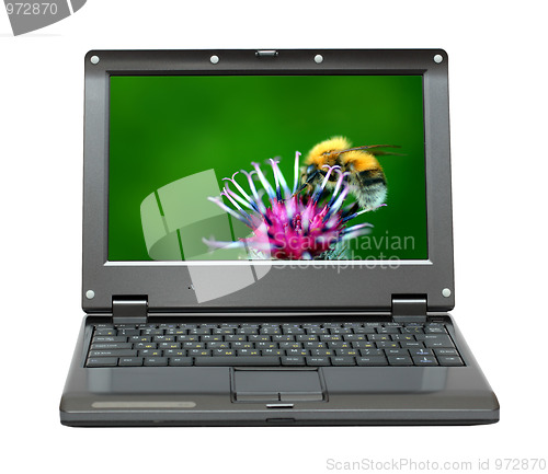 Image of laptop with bumble-bee on thistle flower