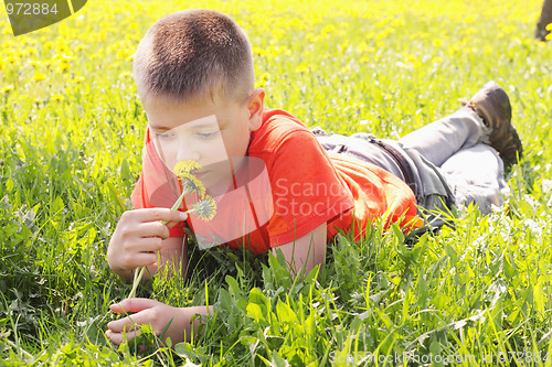 Image of Kid on grass with dandelions