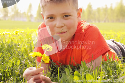 Image of Smiling kid on grass with dandelions