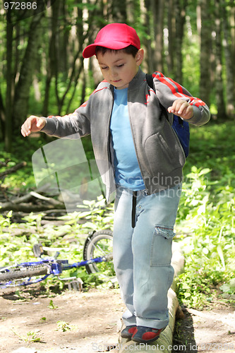 Image of Boy crossing path by log