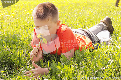 Image of Kid on grass smelling dandelions