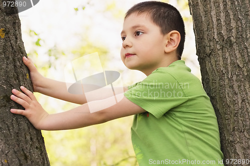 Image of Little boy between trees