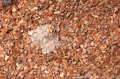 Image of Bark chips