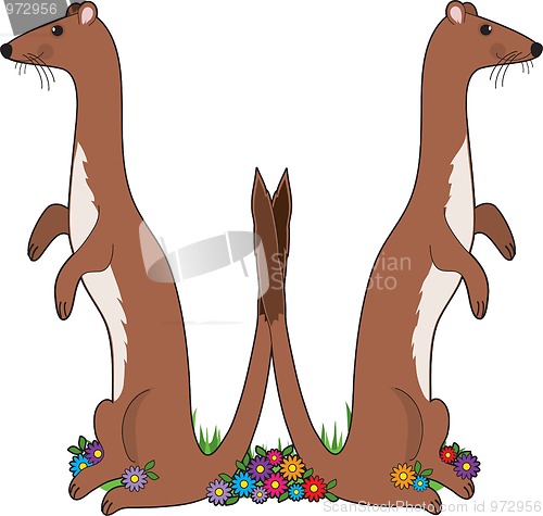 Image of Animal Alphabet W