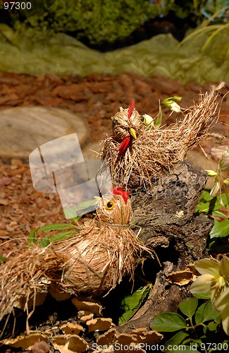 Image of Straw quails