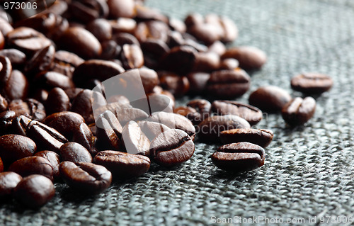 Image of coffee beans