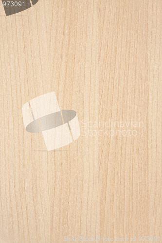 Image of Texture of wood background 