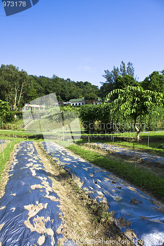 Image of farmland and house in the nature