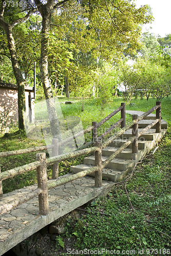 Image of bridge in the forest 