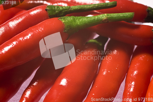 Image of hot chili peppers 