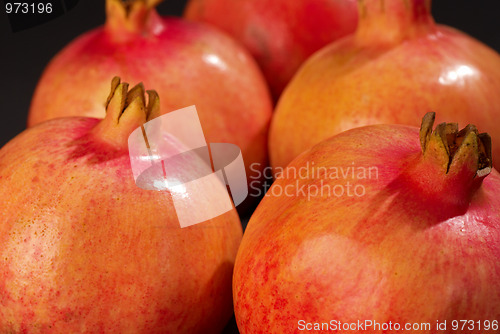 Image of Pomegranates
