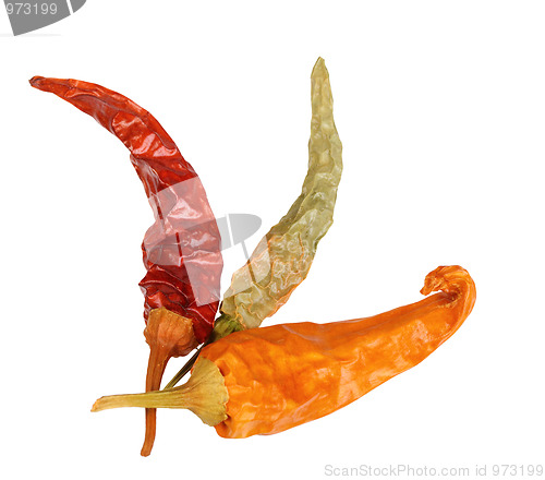 Image of Three dry chilli-pepper