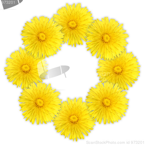 Image of Frame as ring of yellow flowers