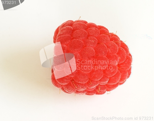 Image of Raspberry