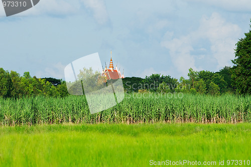 Image of Rural landscape with temple in Thailand