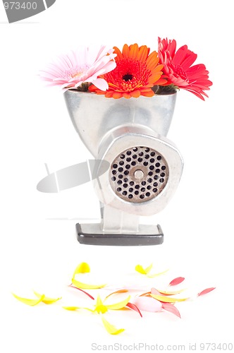 Image of Conceptual photo with flowers