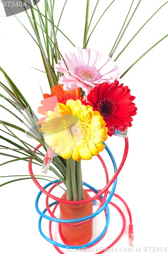 Image of Wires and flowers concepts