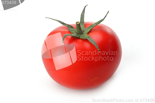 Image of The fresh red tomato 