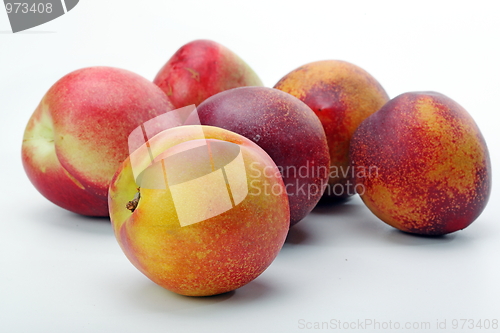 Image of The peach