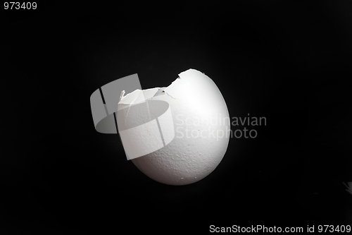 Image of The eggshell 