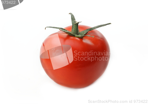 Image of The fresh red tomato 