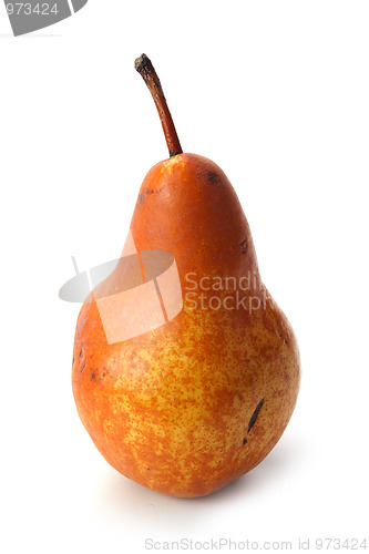 Image of The pear