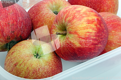 Image of Red apples